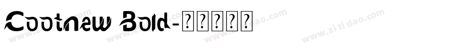Cootnew Bold字体转换